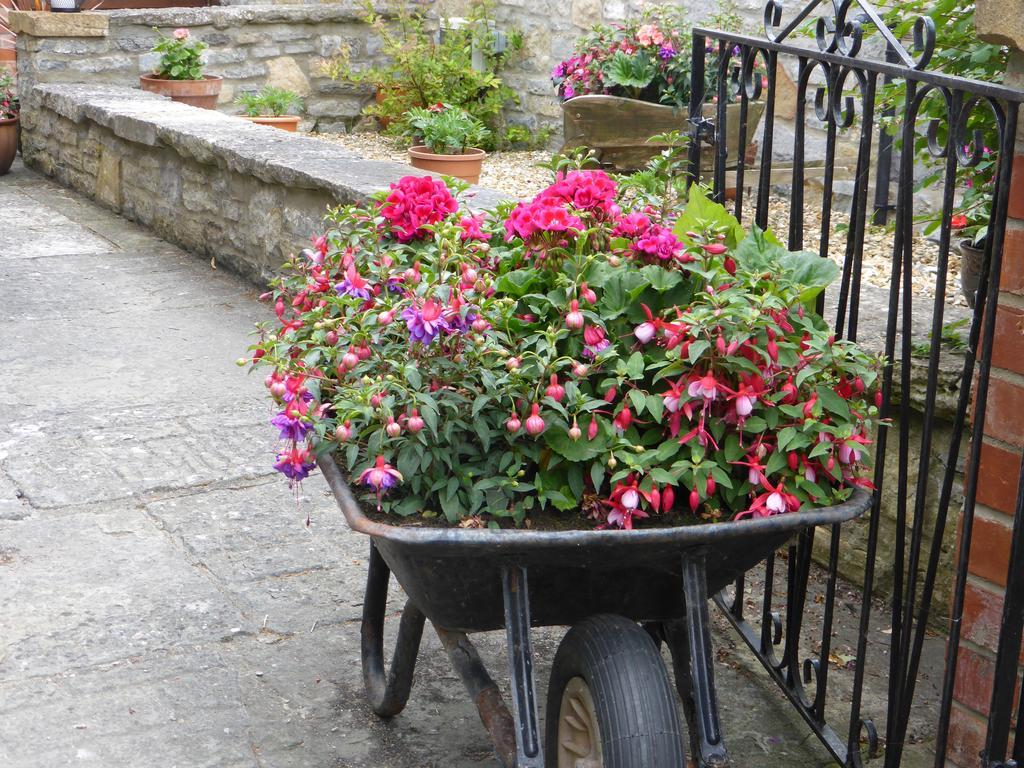 Liongate House Bed and Breakfast Ilchester Εξωτερικό φωτογραφία